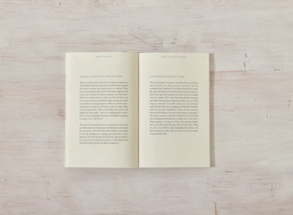 Beauty in the Stillness - Book - Image 3