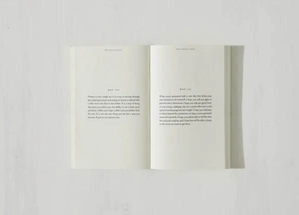 The Pivot Year - (Book) - Image 4