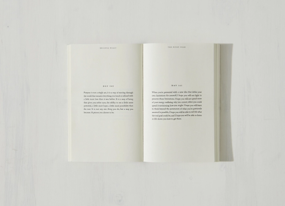 The Pivot Year - (Book)