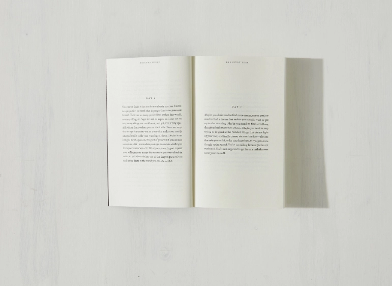 The Pivot Year - (Book)