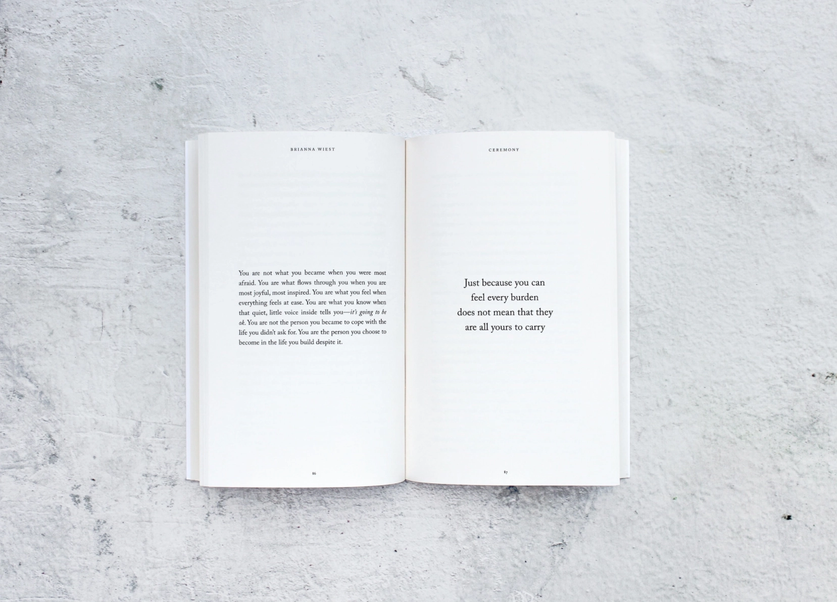 Ceremony - Book - Image 3