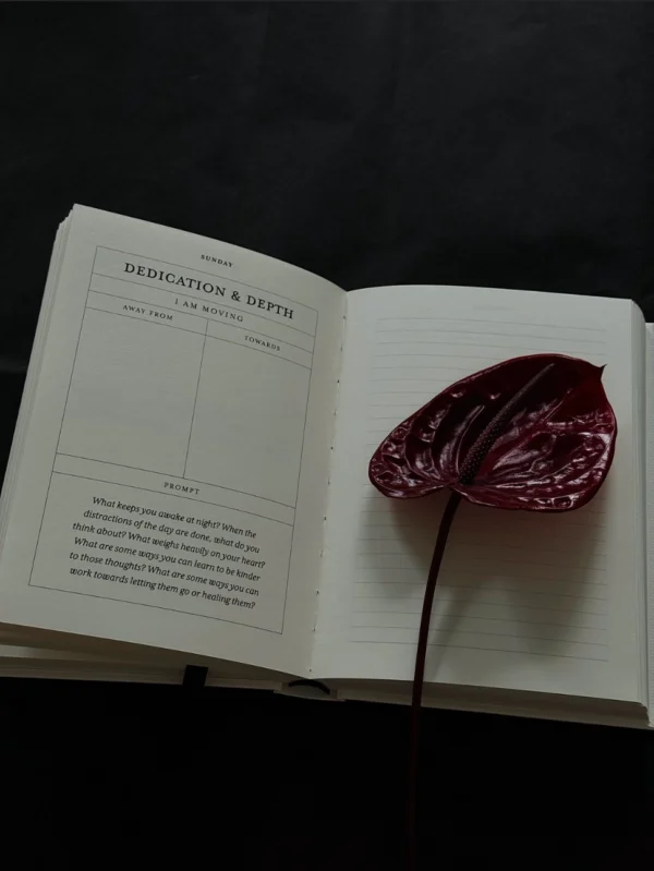 The Becoming Journal - A Guided Journal - Image 7