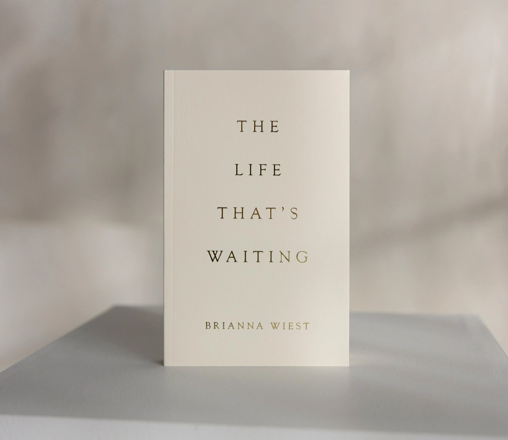 The Life That's Waiting (Book) - Image 1